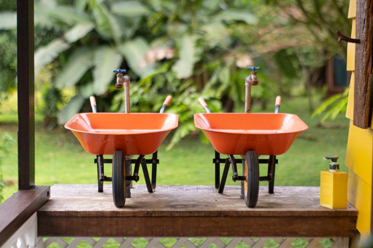 Popone Farm & Lodge Guapiles Ngoại thất bức ảnh